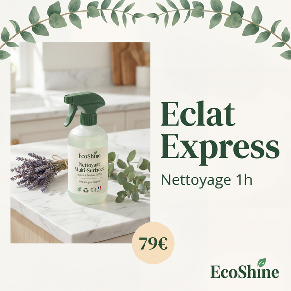 Éclat Express — Nettoyage 1h